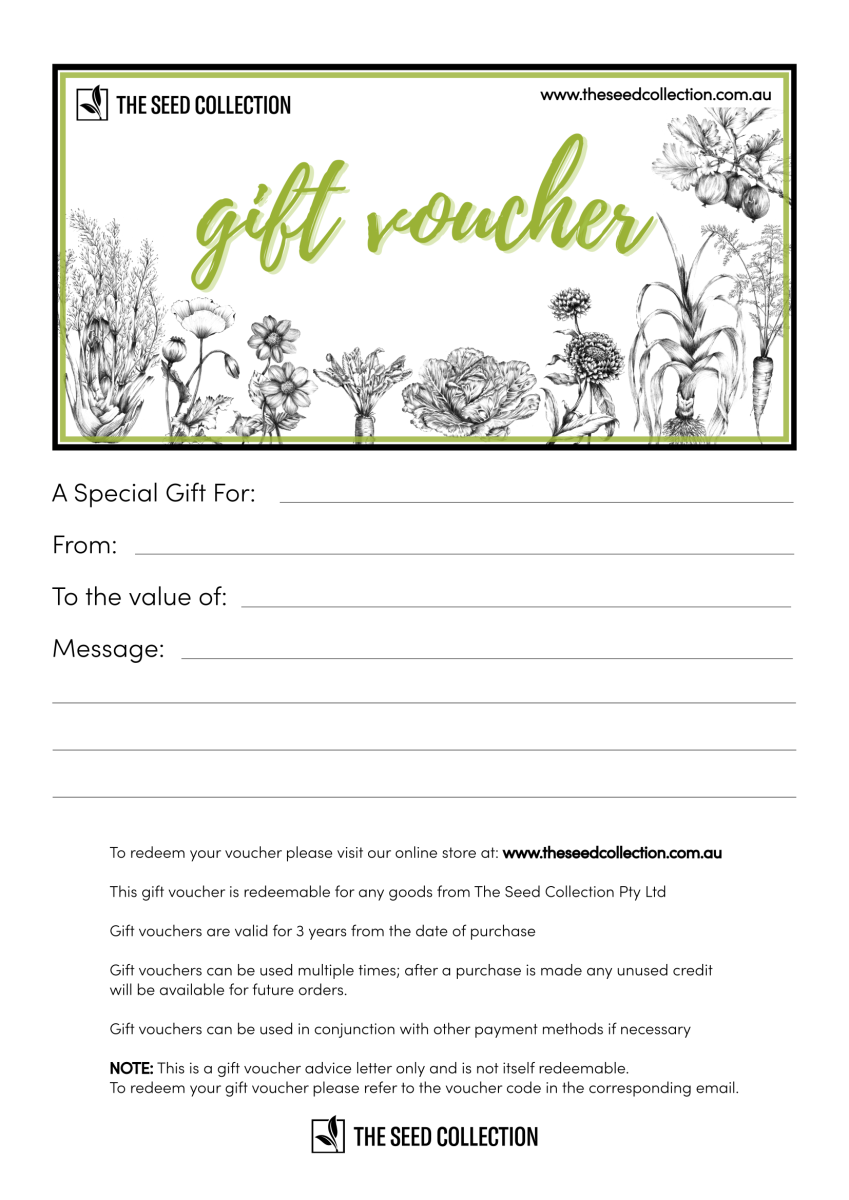 50 Gift Voucher The Seed Collection